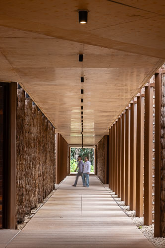 C733_AccesoCentroTulum