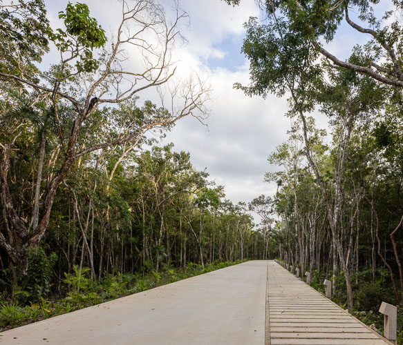 C733_AccesoCentroTulum