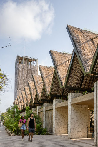 C733_AccesoSurTulum