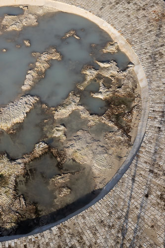 C733_AvistamientoTulum