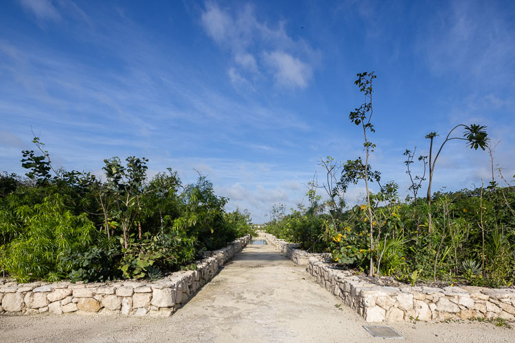 C733_AvistamientoTulum