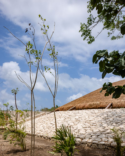 C733_CocinaHumoTulum