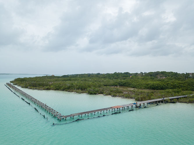 C733_EcoParqueBacalar