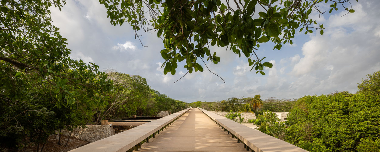 C733_INAH2Tulum