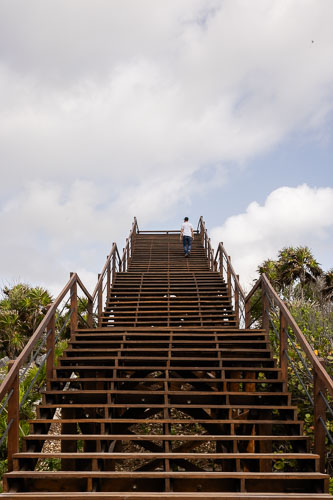 C733_MiradorMangleTulum