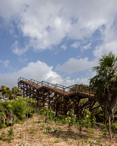 C733_MiradorMangleTulum