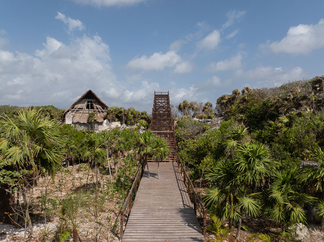 C733_MiradorMangleTulum