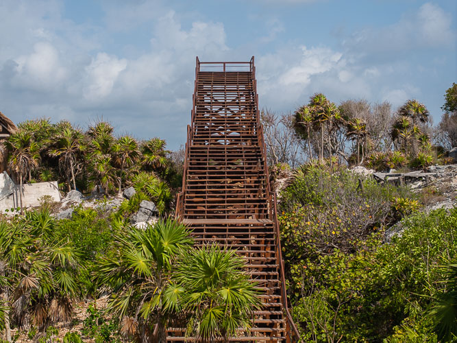 C733_MiradorMangleTulum