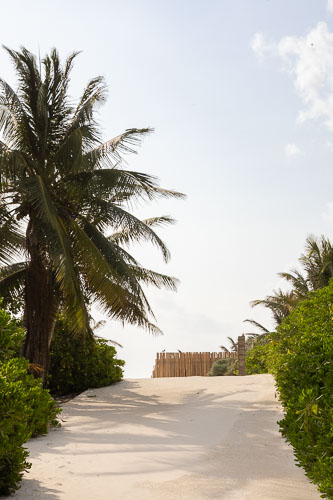 C733_ModulosPlayaTulum