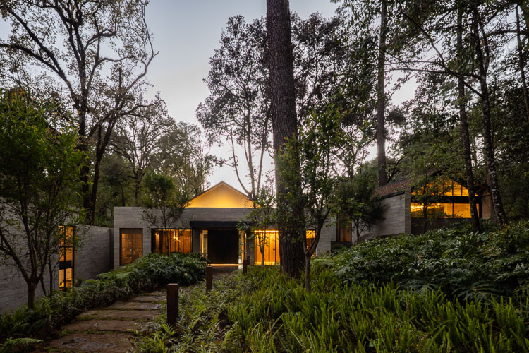 ChainSiman_Lote10-A5