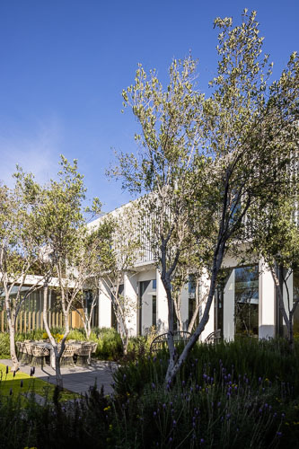 CheremArquitectos_CasaD_Resto