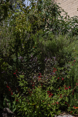 Dealer_Malinalco