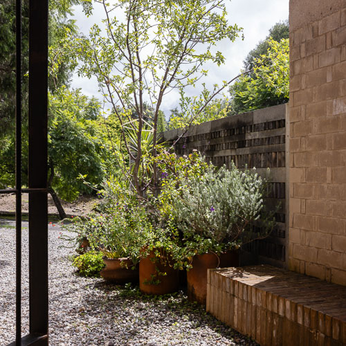 Dealer_Malinalco