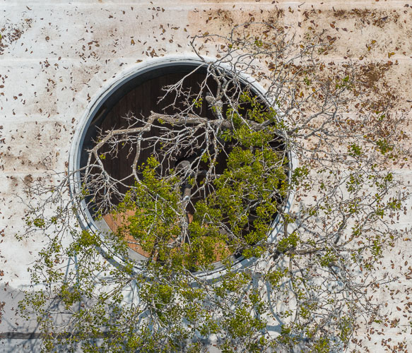 FaciLeboreiro_Cuattro