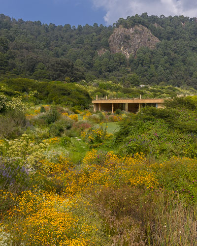 FernandaCanales_Casa720grados3