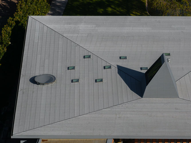 MiroRivera_Lotus_Drone