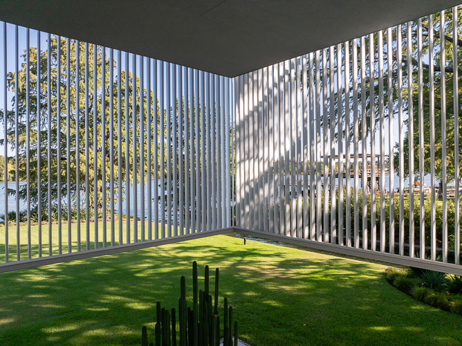 MiroRivera_Lotus_Drone