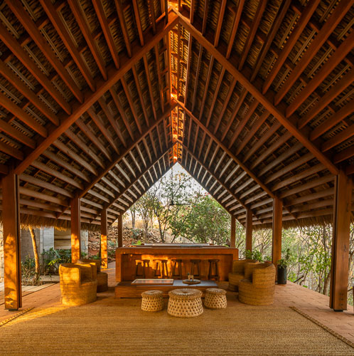 RochaCarrillo_Cometa