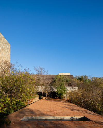 RochaCarrillo_Cometa