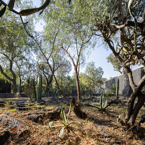 TallerArquitectura_Anahuacalli_2