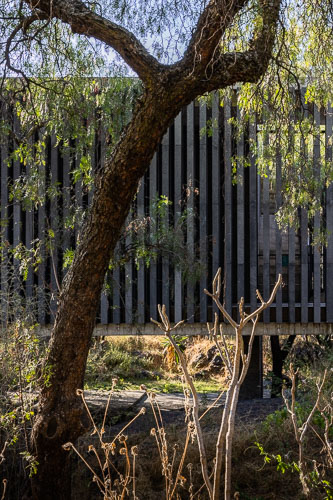 TallerArquitectura_Anahuacalli_2