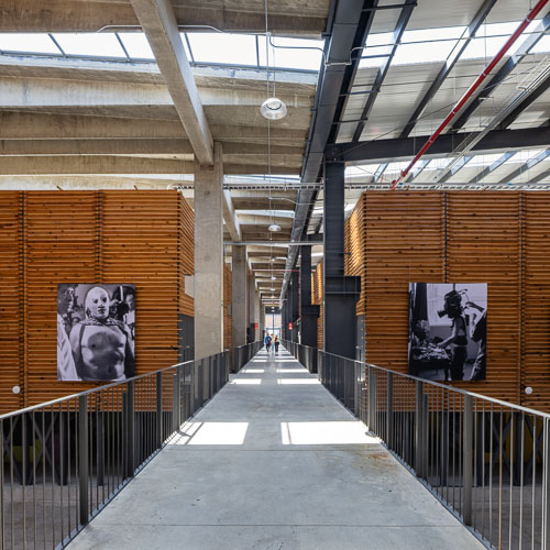 TallerArquitectura_Cineteca