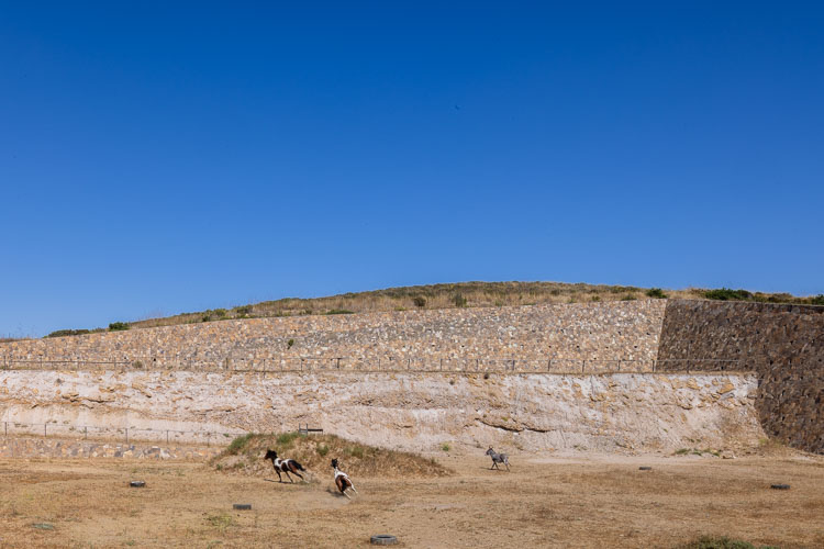 TallerArquitectura_Ecuestre