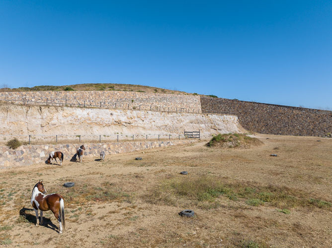 TallerArquitectura_Ecuestre