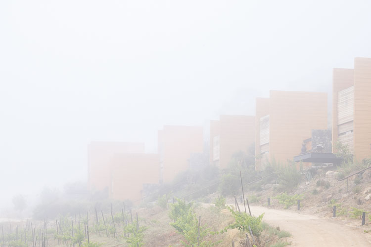 TallerArquitectura_Habitat