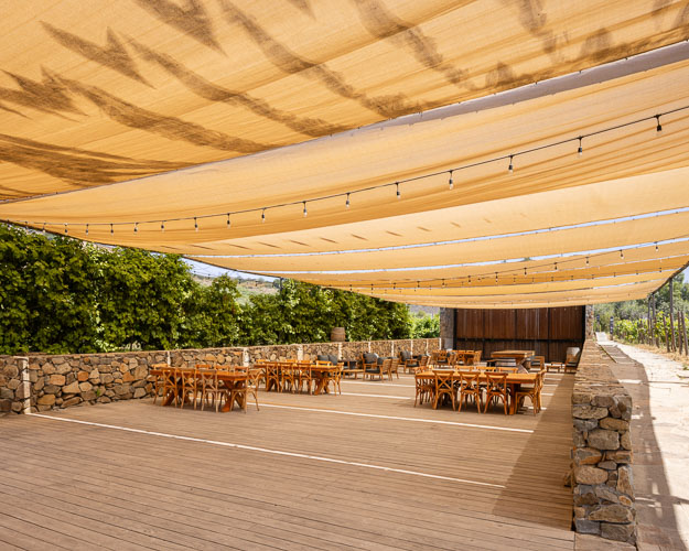 TallerArquitectura_Vinicola