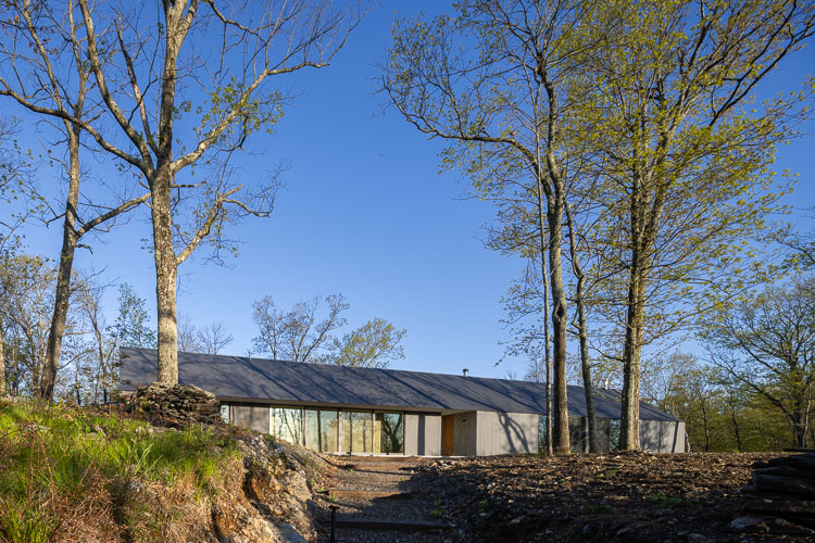 WorrellYeung_RidgeHouse