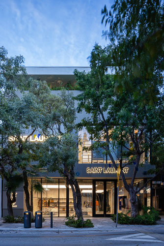 YSL_MiamiDD